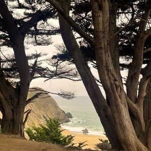 Meet your Posher, Rick